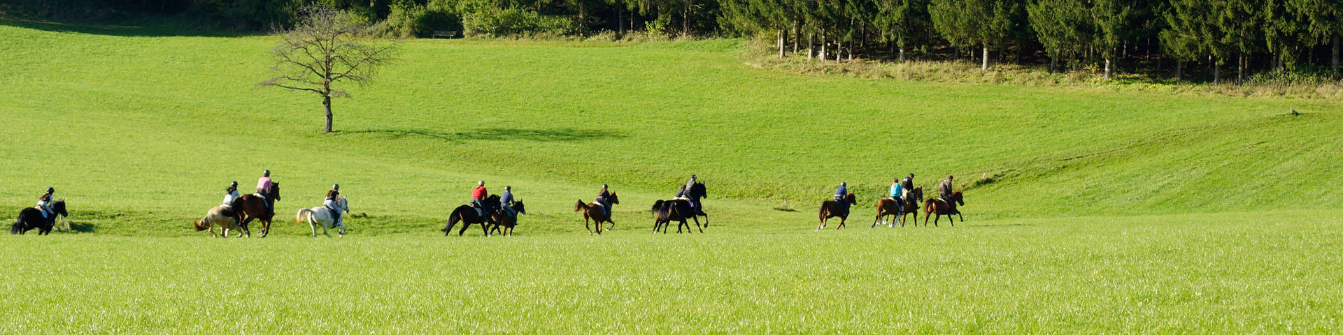 Reiten