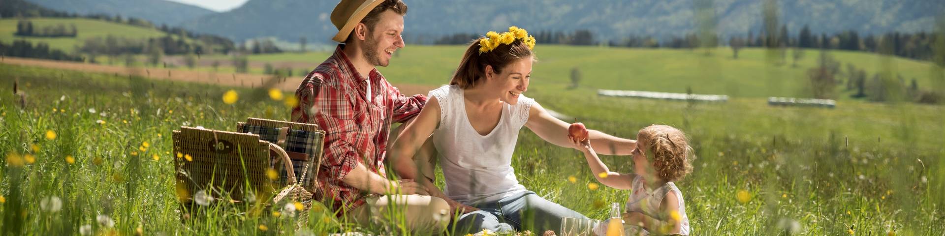 Picknick in der Löwenzahnwiese