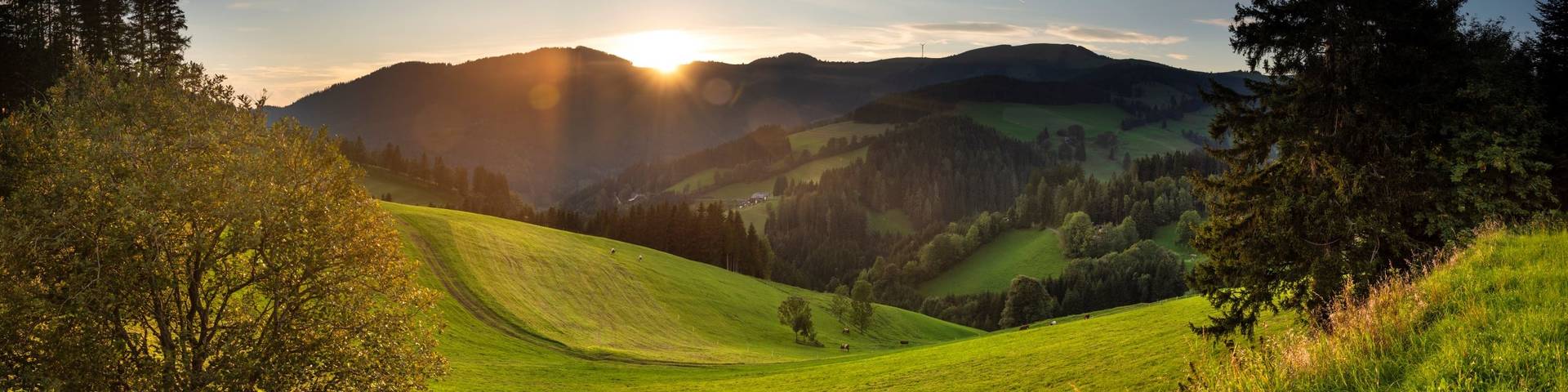 Almlandschaft im Herbst