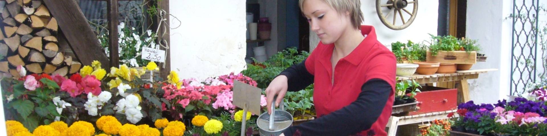 Lehrlingsausbildung und Lehrlingsqualifikation