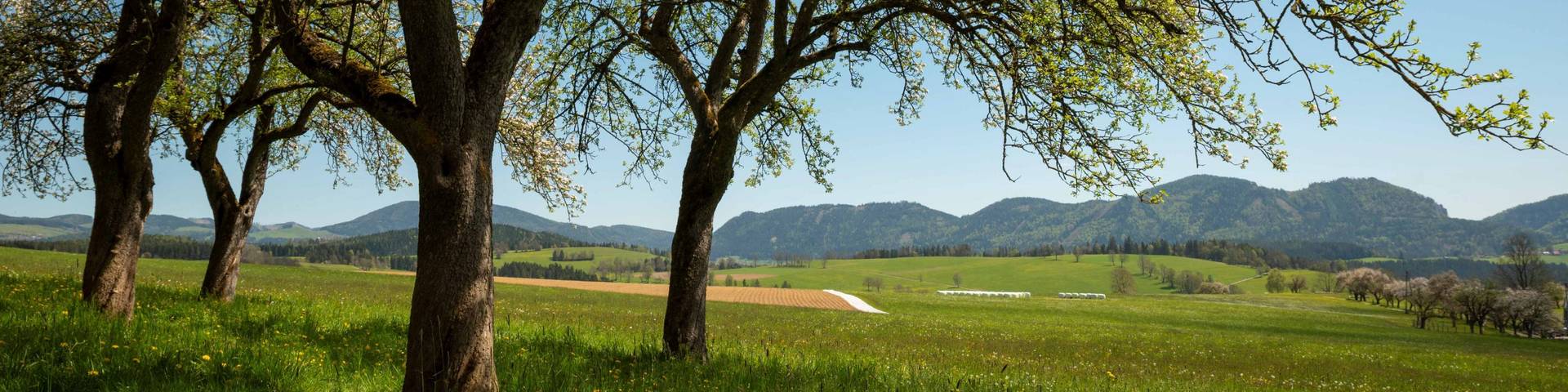 Frühlingslandschaft im Naturpark Almenland