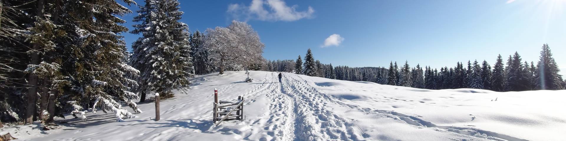 Winter auf der Sommeralm