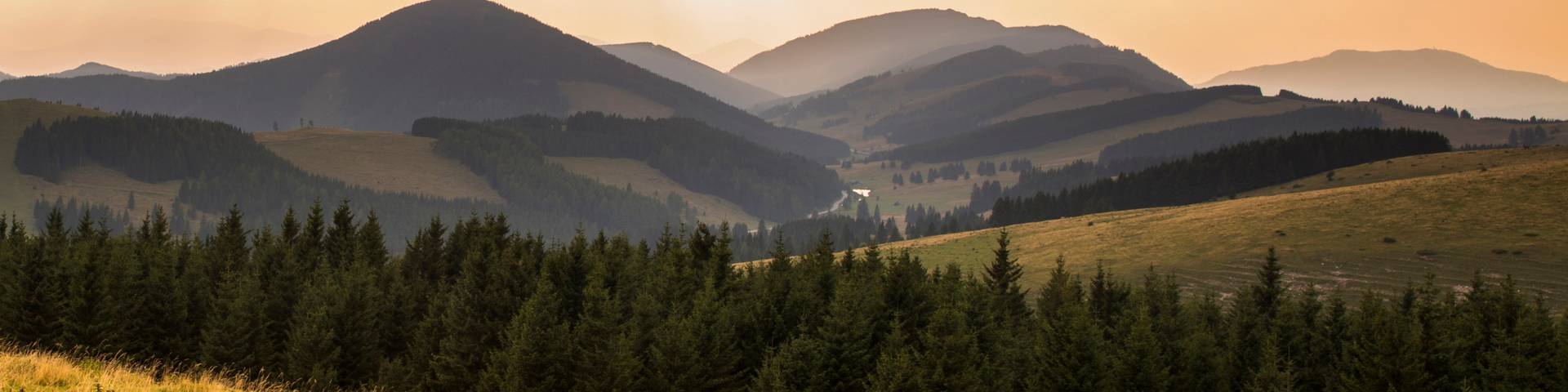 Wandern Gruppe