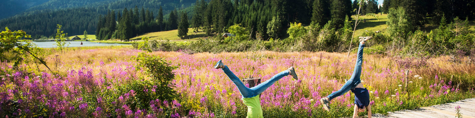 Wandern im Frühling und Sommer