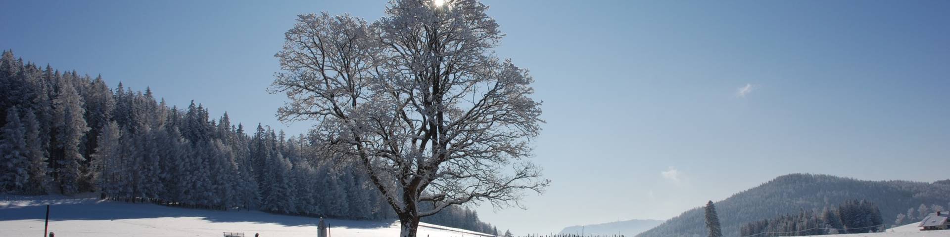 Nechnitz im Winter