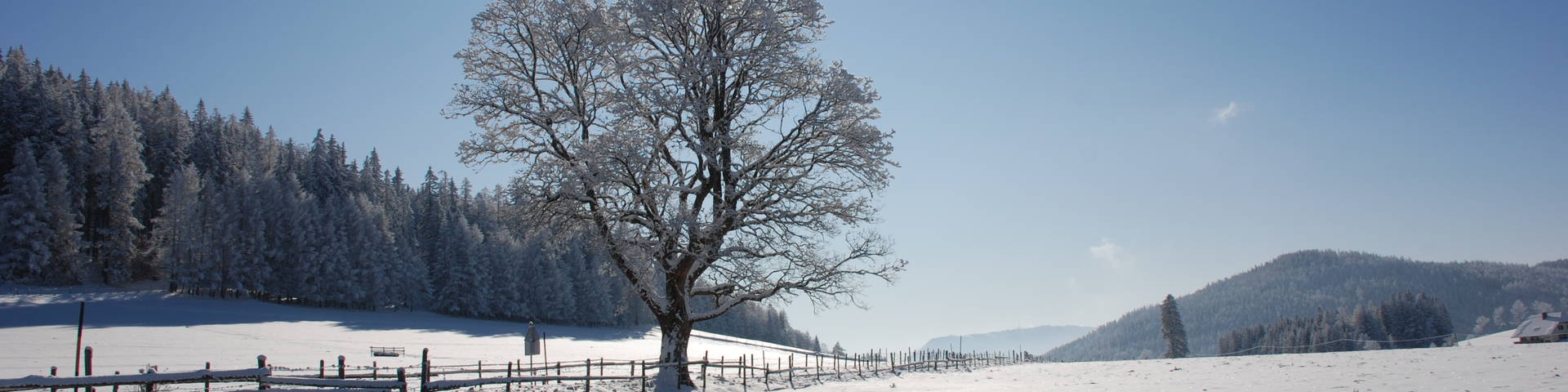 Almenland im Winter