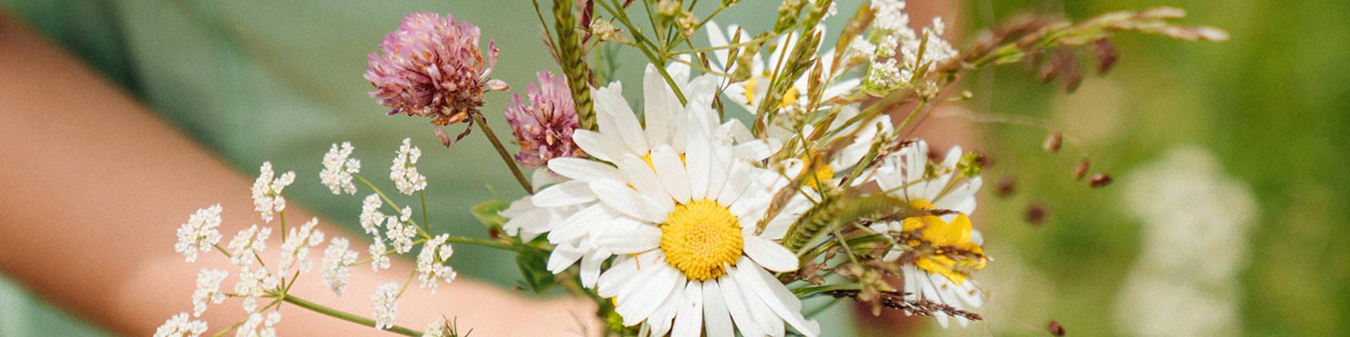Blumenstrauß aus dem Naturpark Almenland